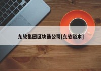 东软集团区块链公司[东软资本]